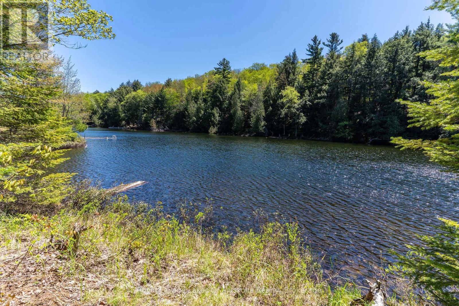 1143 CRANE LAKE DRIVE Image 11