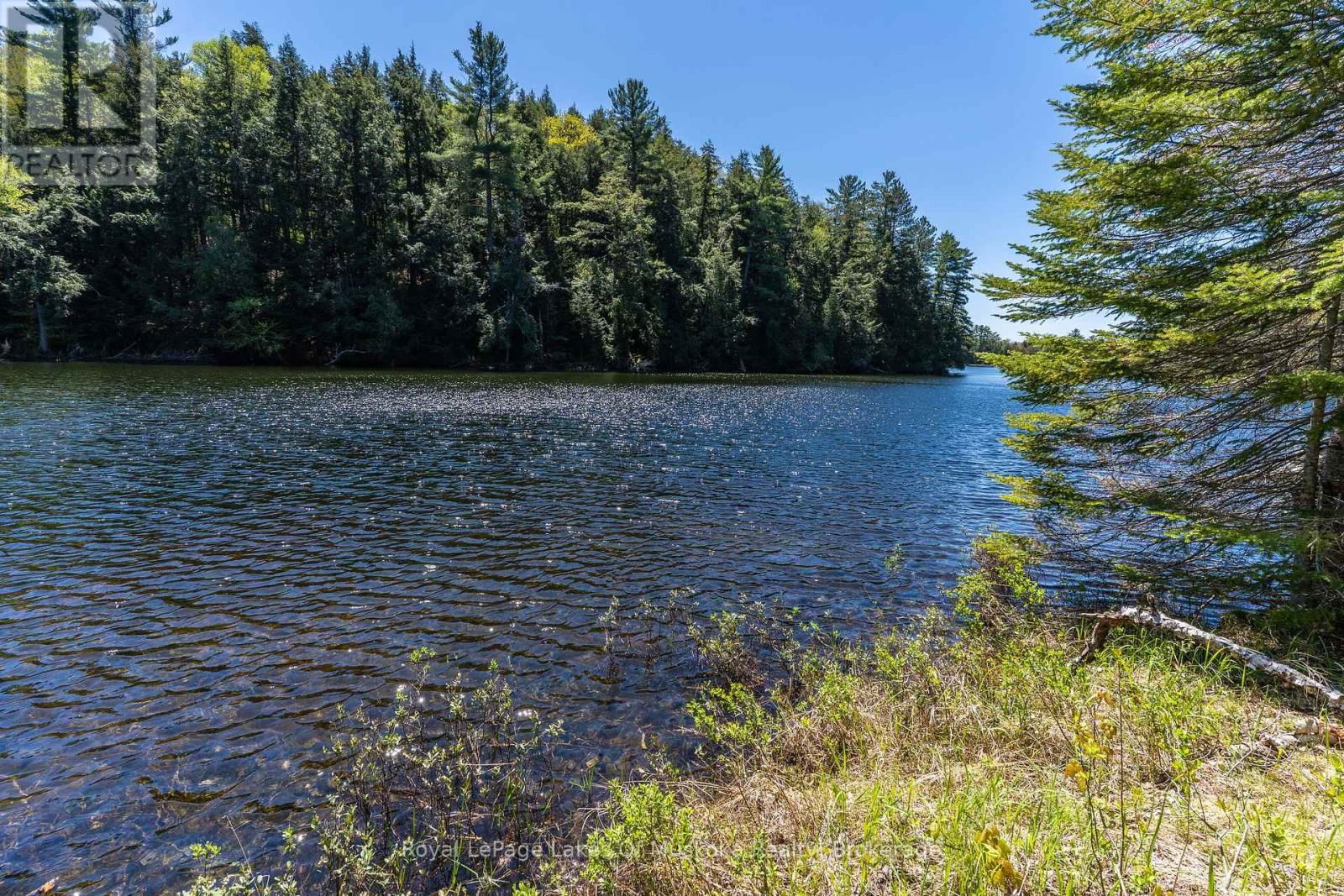 1143 CRANE LAKE DRIVE Image 12