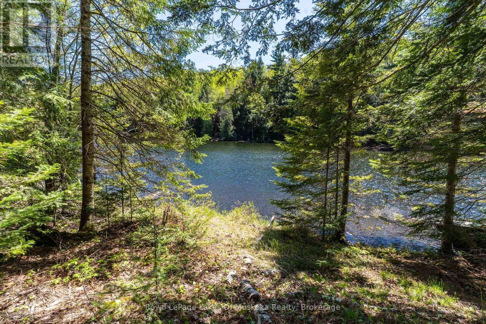 1143 CRANE LAKE DRIVE Image 27