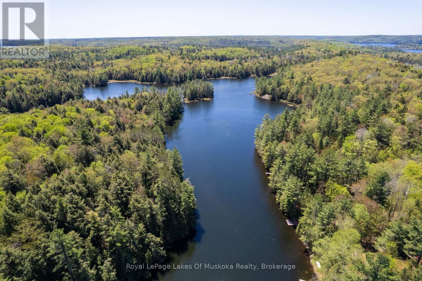 1143 CRANE LAKE DRIVE Image 33
