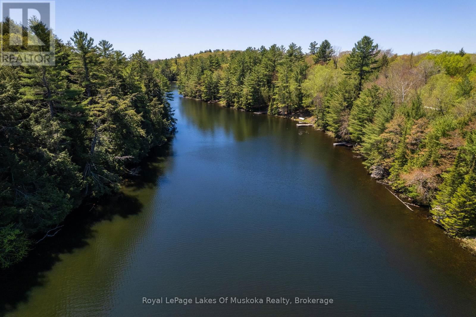 1143 CRANE LAKE DRIVE Image 35