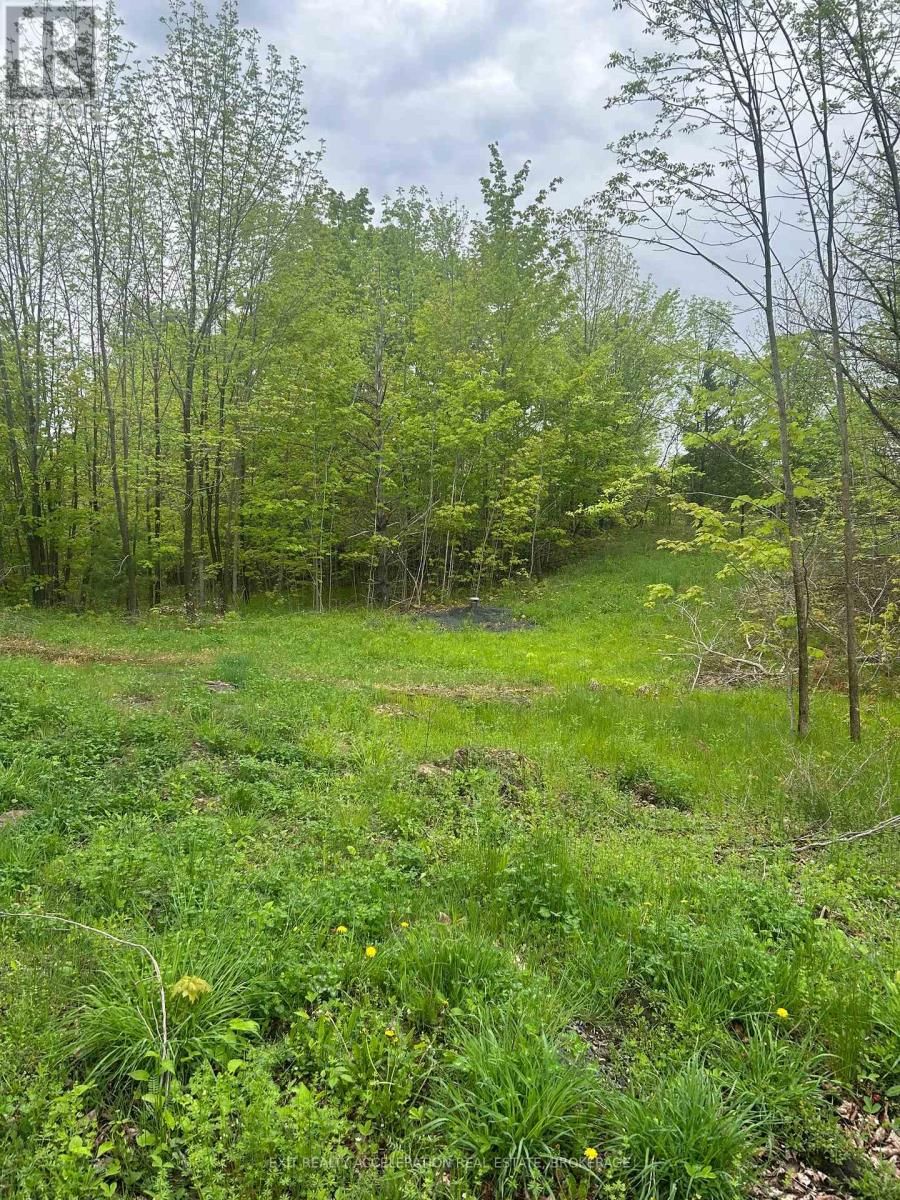 0 BRADSHAW ROAD Image 3