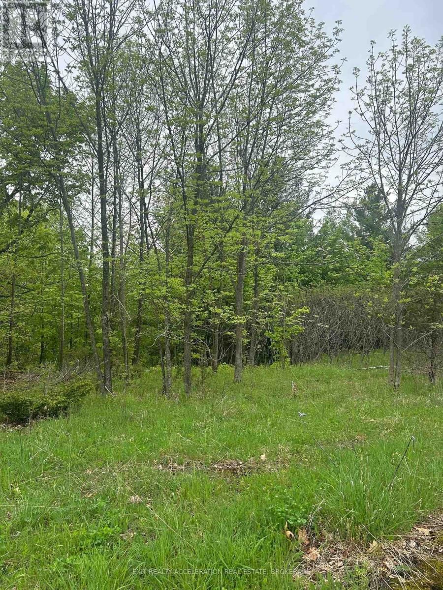 0 BRADSHAW ROAD Image 6