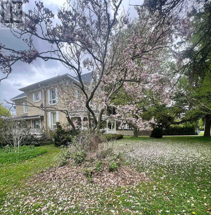 Tertiary Property View
