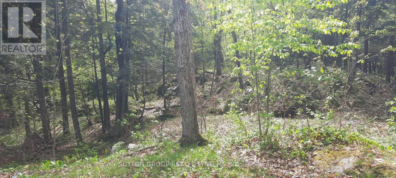 234 HEALEY LAKE WATER Image 17