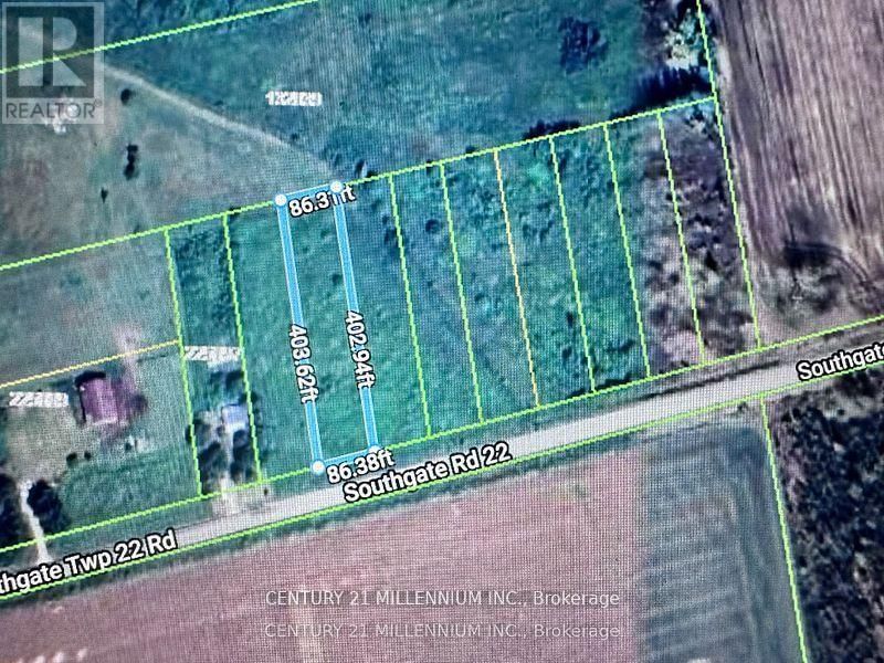 Primary Property View