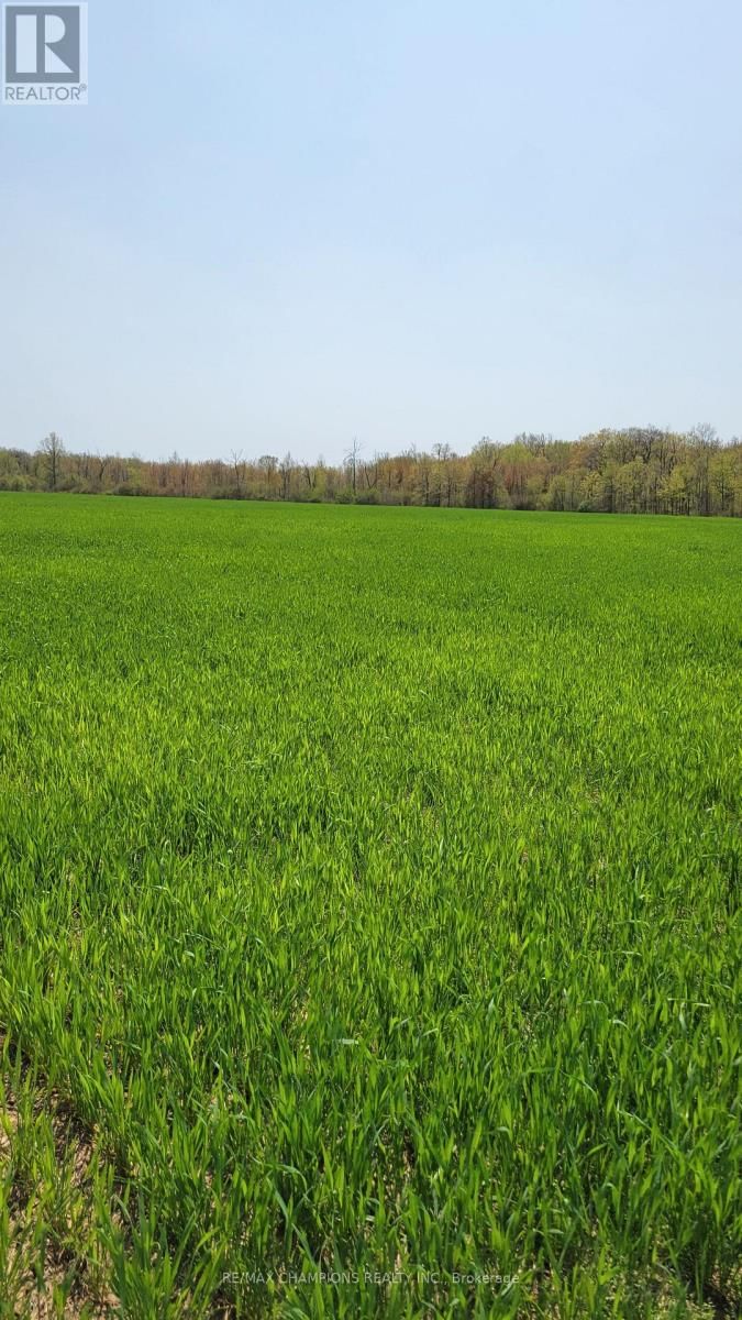 4649 GARRISON ROAD Image 3