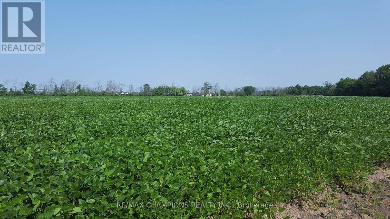 4649 GARRISON ROAD Image 5