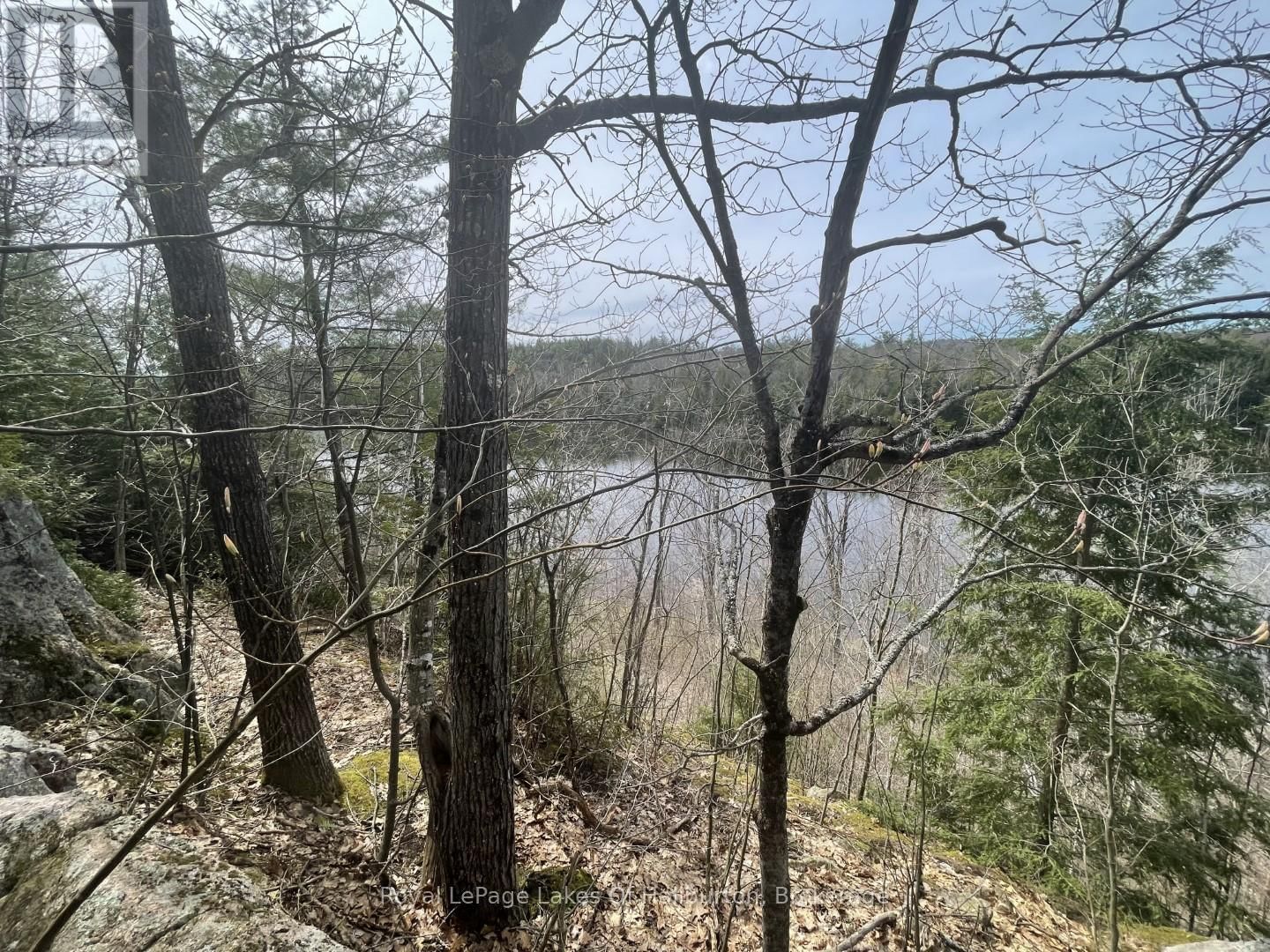 0 STARLIGHT ROAD Image 14