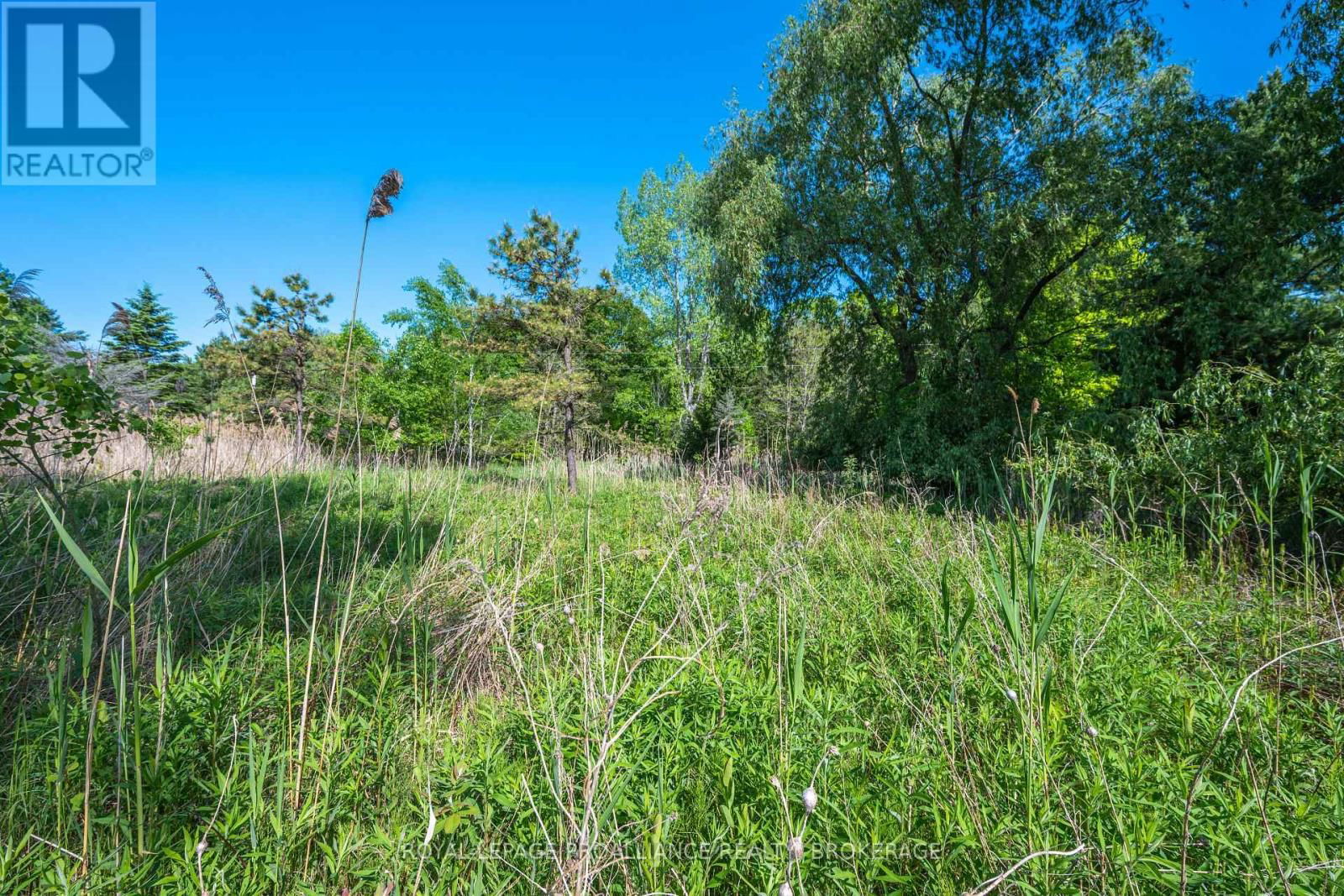 1168 THOUSAND ISLAND PARKWAY Image 18