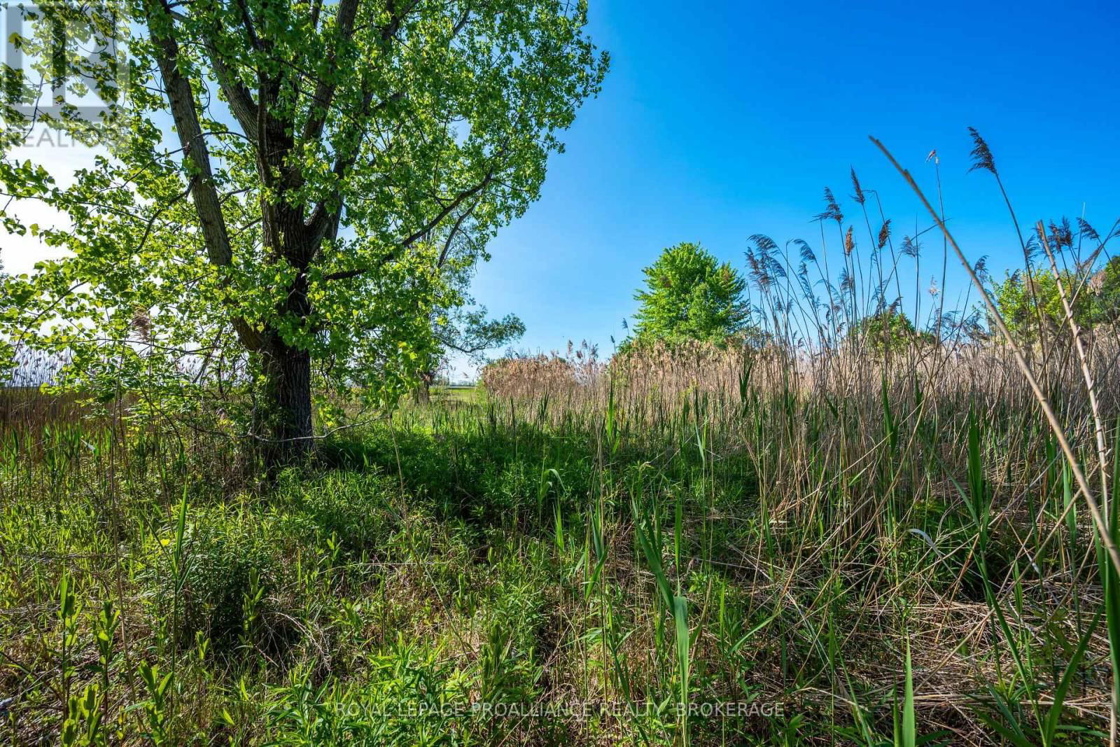 1168 THOUSAND ISLAND PARKWAY Image 19