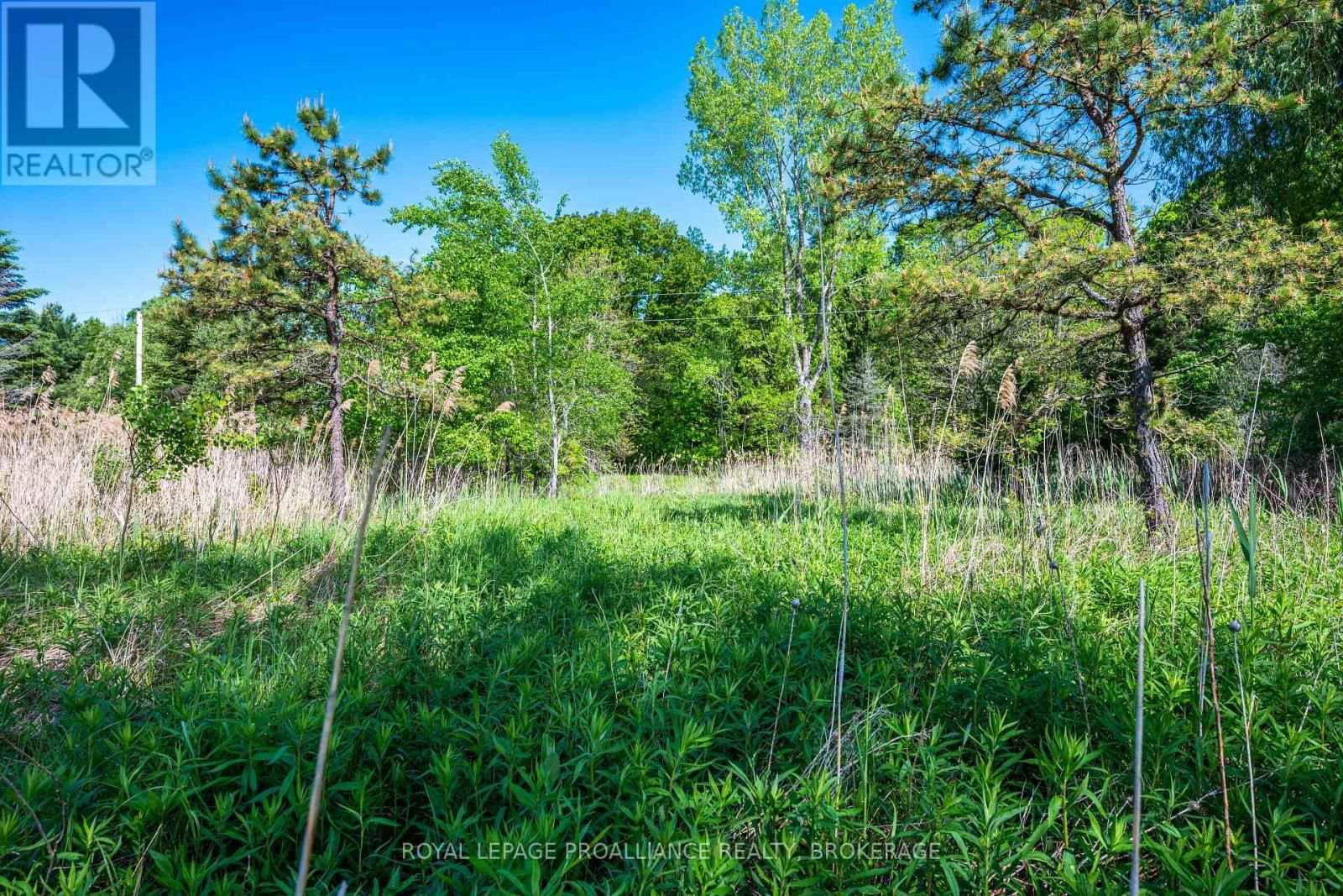 1168 THOUSAND ISLAND PARKWAY Image 20