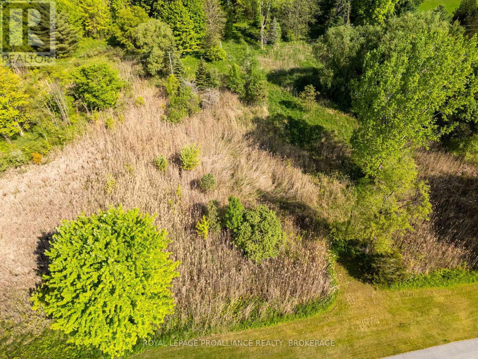 1168 THOUSAND ISLAND PARKWAY Image 8