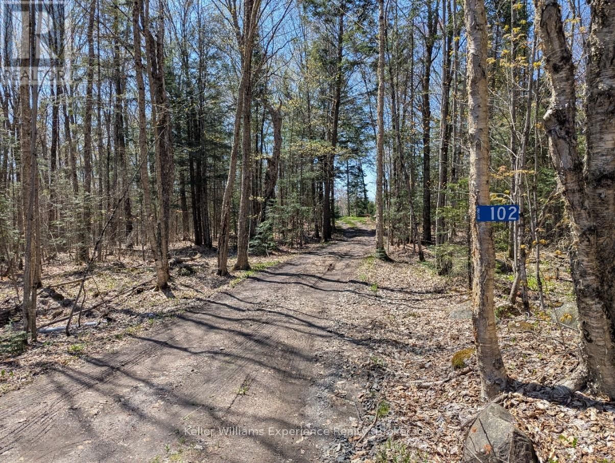 102 OLD SCHOOL HOUSE ROAD Image 15