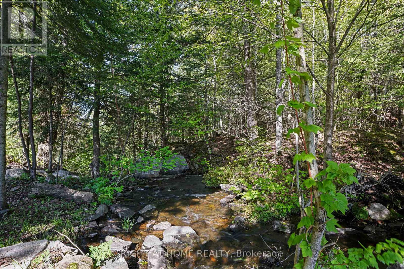 1181 GRACE RIVER ROAD Image 43
