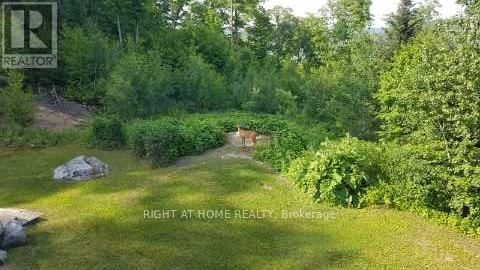1181 GRACE RIVER ROAD Image 49