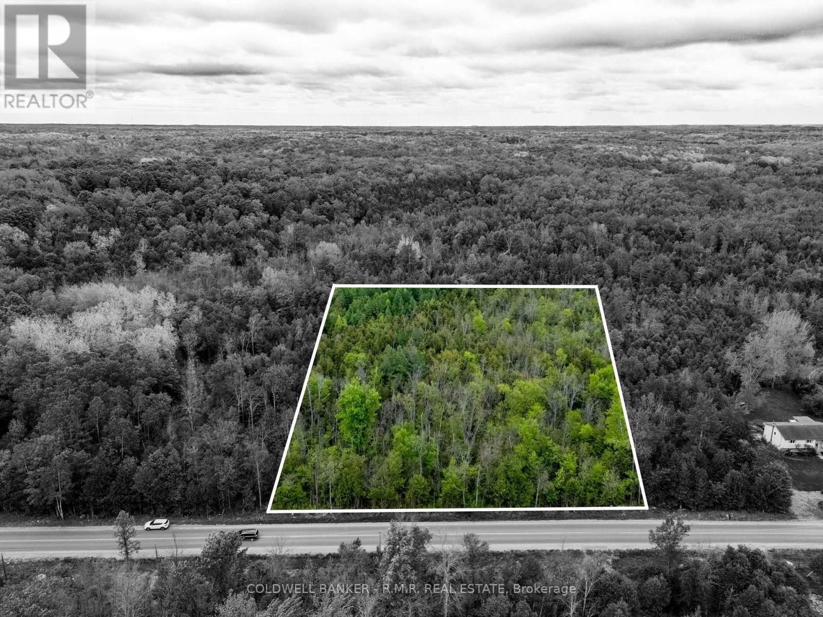 Primary Property View