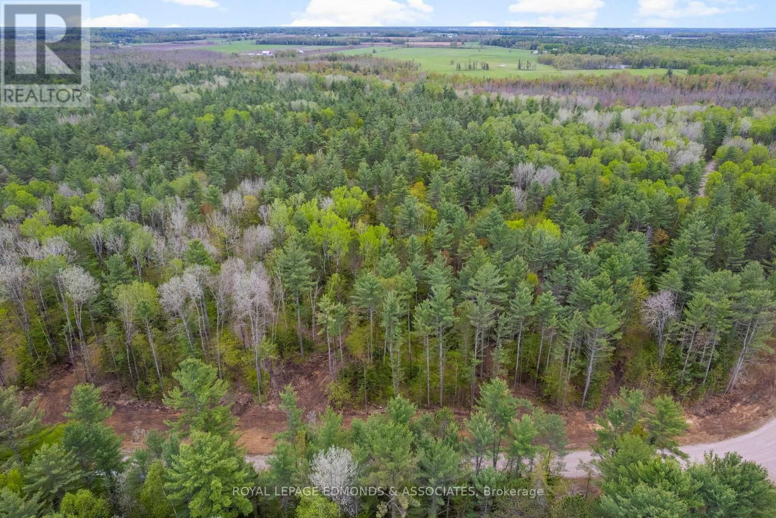 00 NANGOR TRAIL Image 8