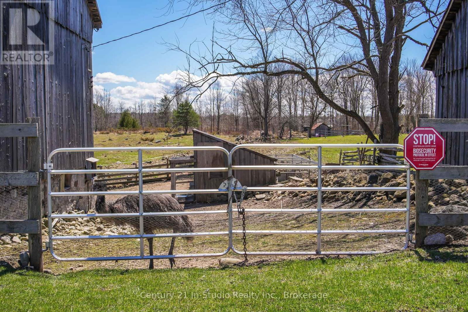 315421 HIGHWAY 6 HIGHWAY Image 8