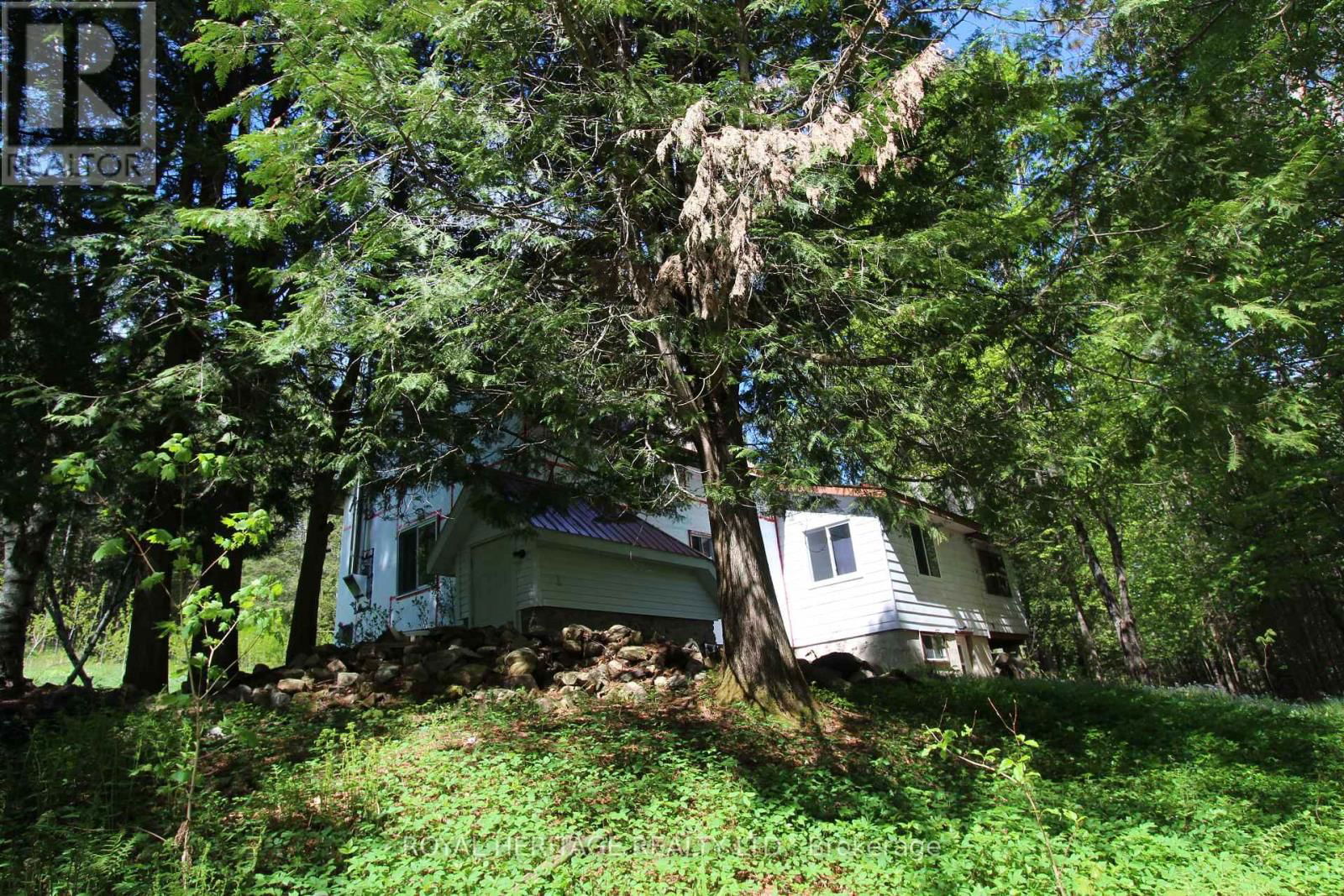 1059 TORTOISE DRIVE Image 1