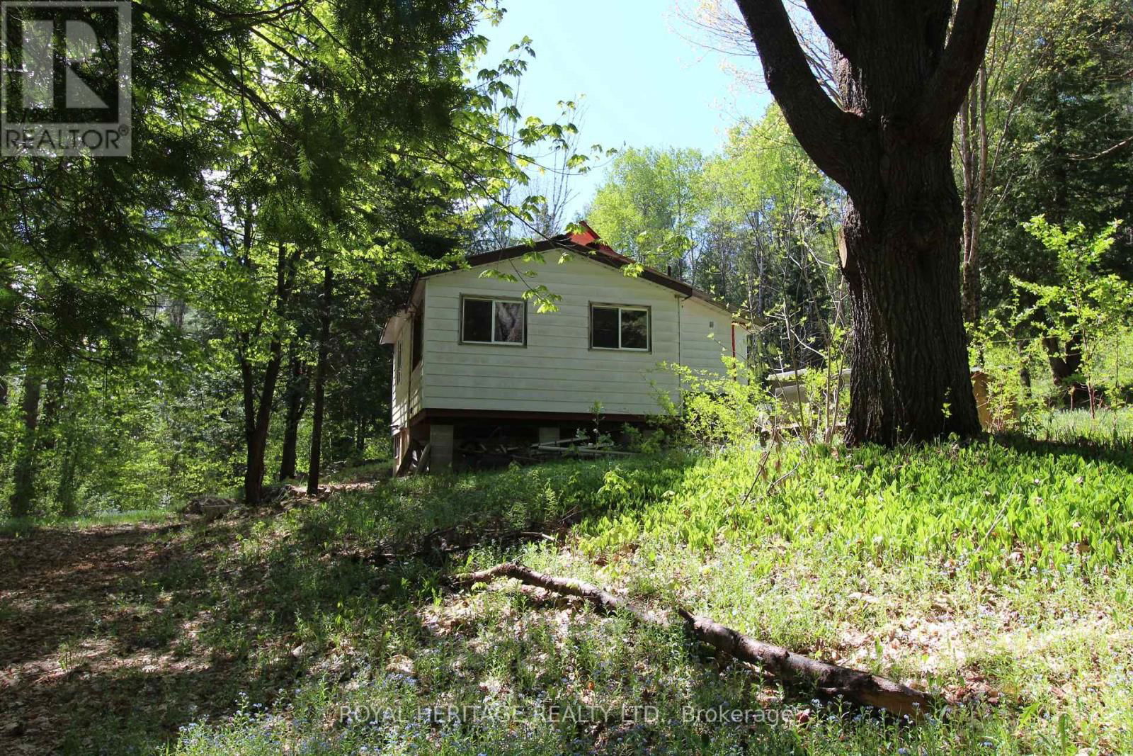 1059 TORTOISE DRIVE Image 3