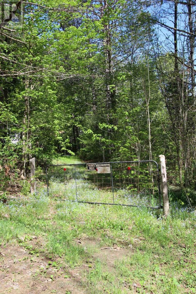 1059 TORTOISE DRIVE Image 33