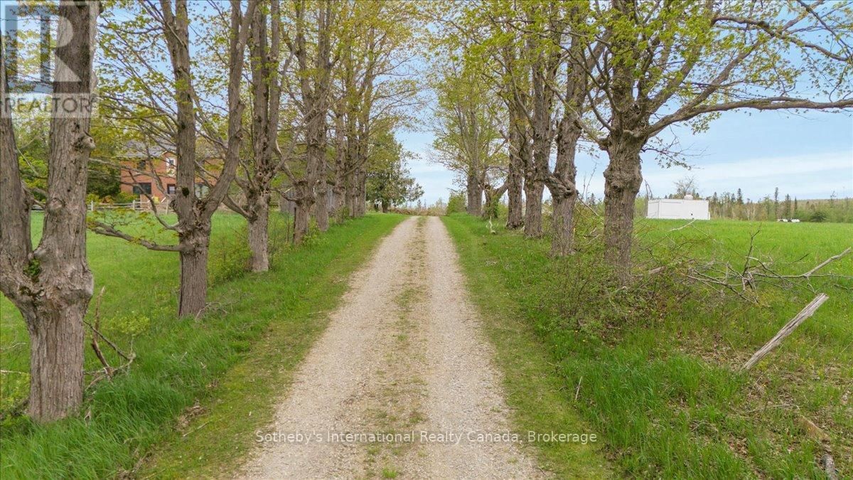 429639 8TH CONCESSION B Image 3