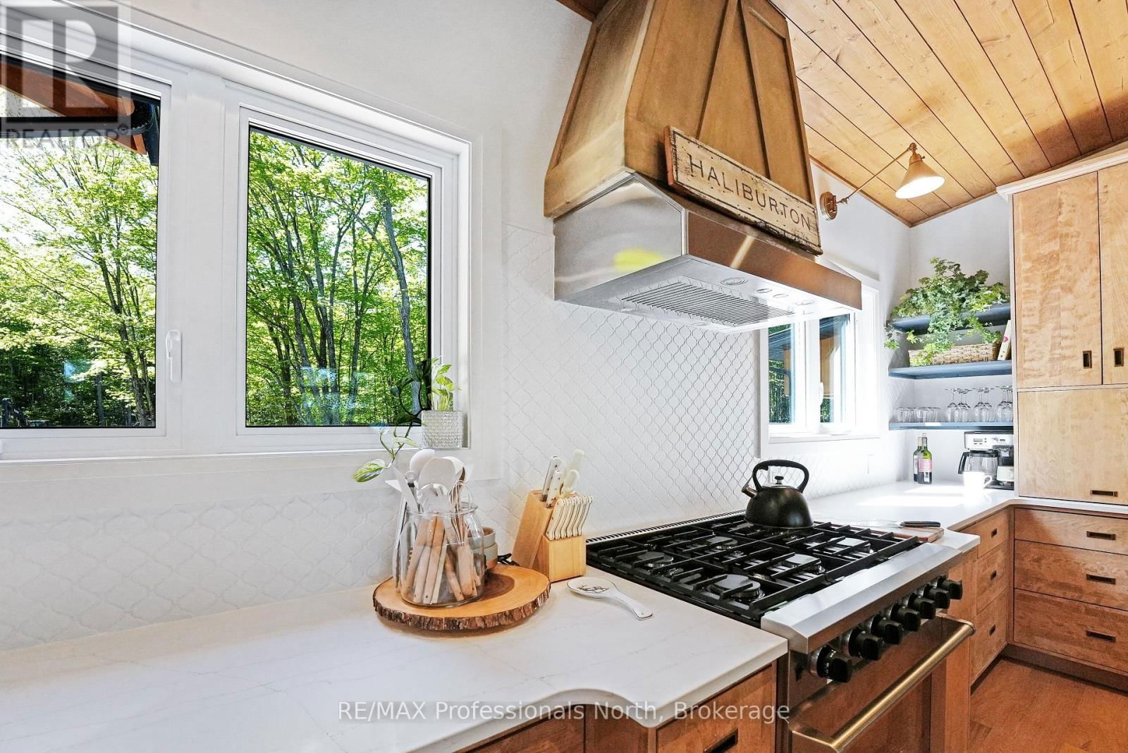 1041 MINAKI LANE Image 11