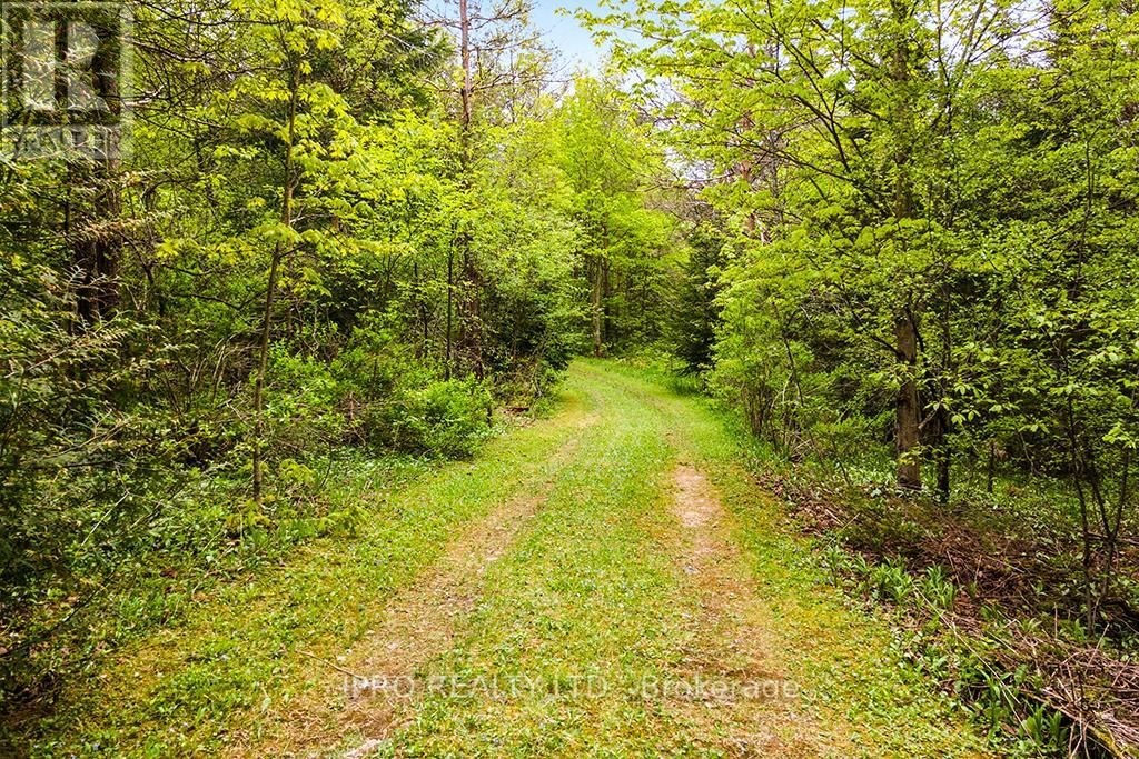 604102 SIDEROAD 60 Image 28