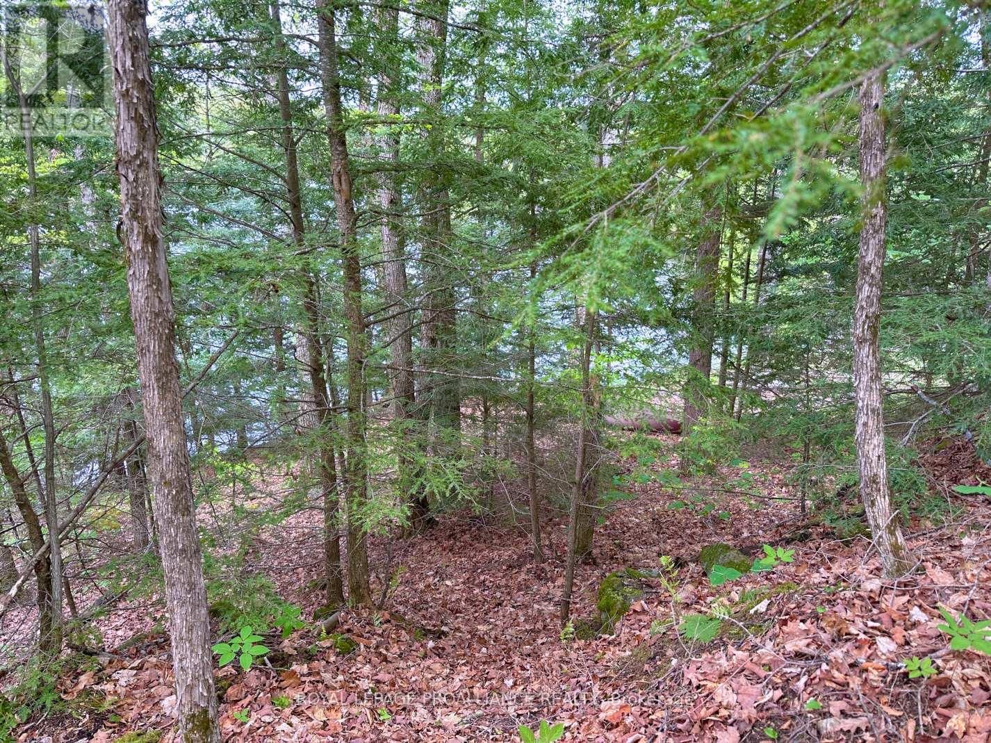 0 GRANITE TERRACE LANE Image 13
