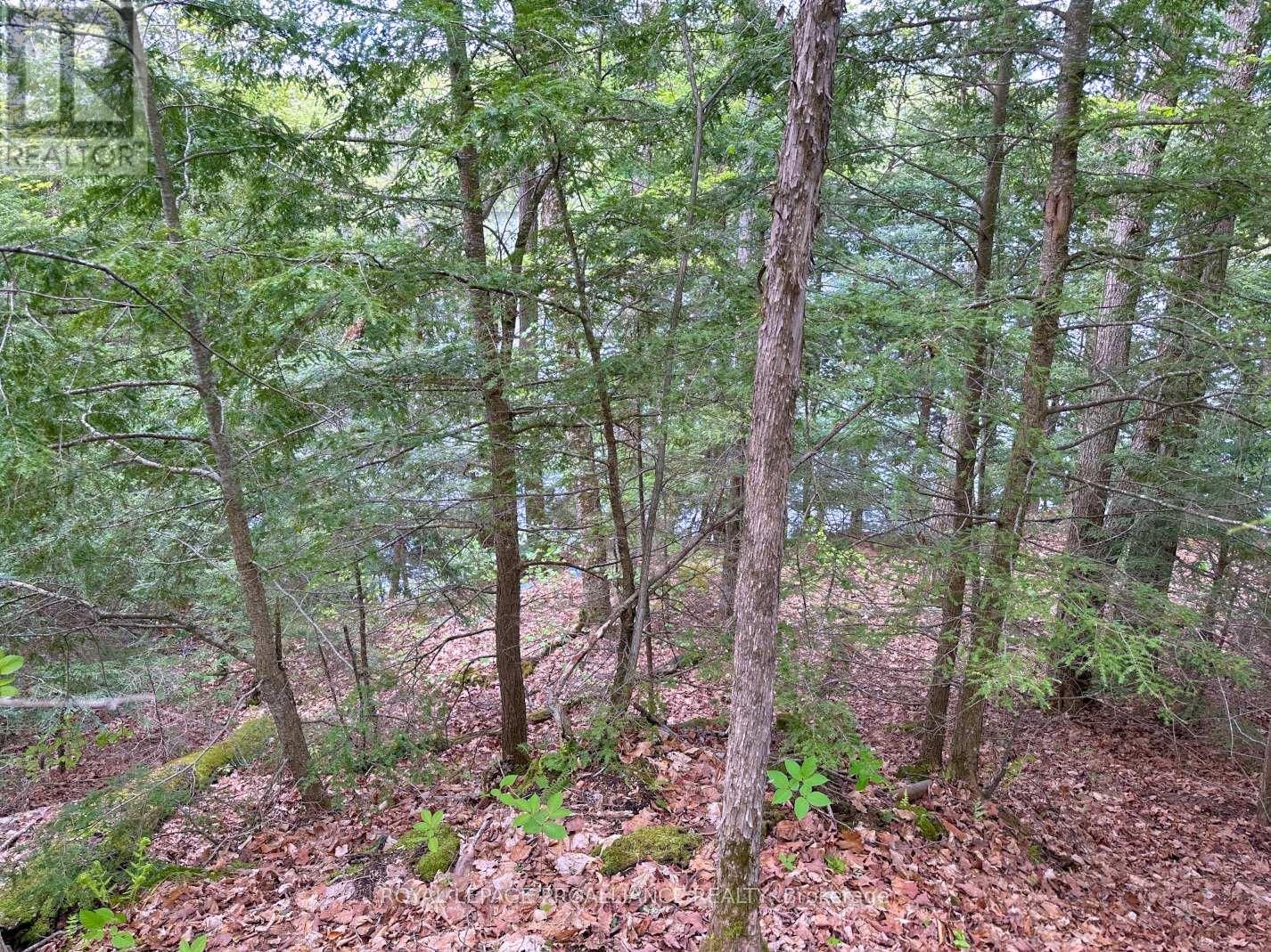 0 GRANITE TERRACE LANE Image 15
