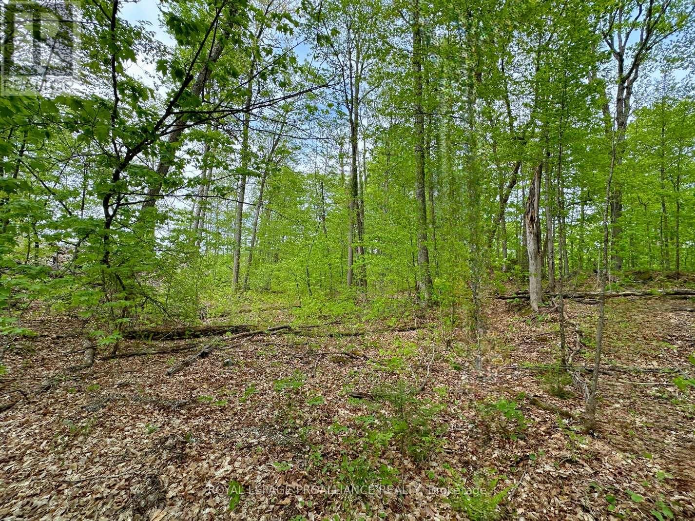 0 GRANITE TERRACE LANE Image 6