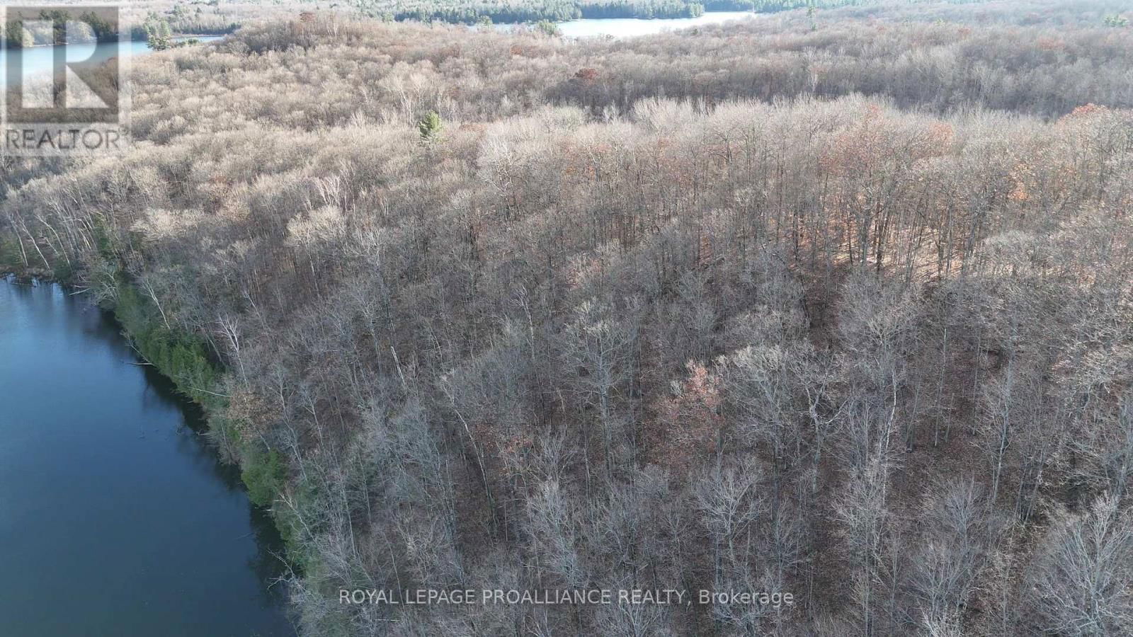 1098 TWIN SISTERS LAKE ROAD NORTH Image 4