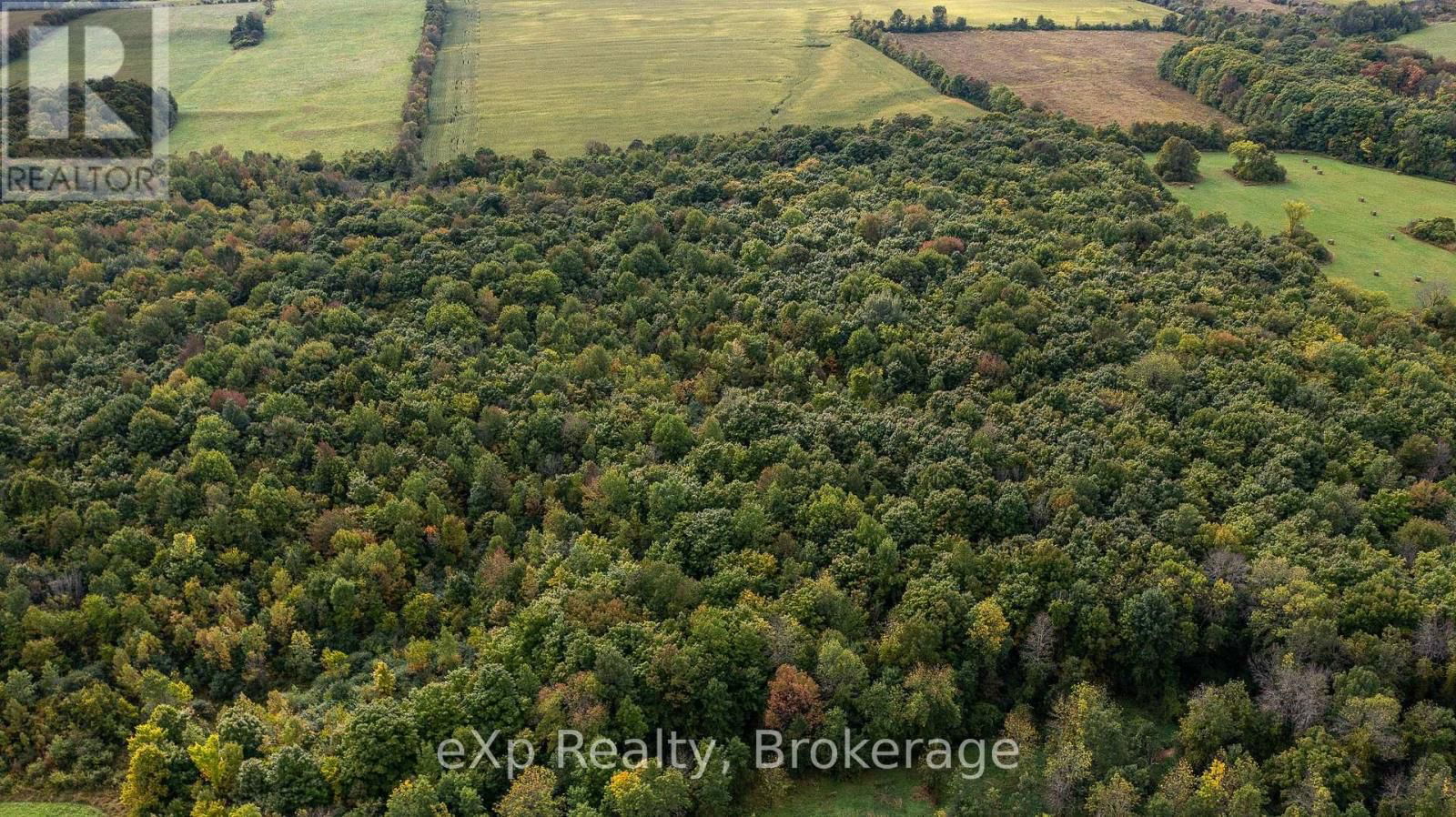 138096 GREY ROAD 112 Image 11