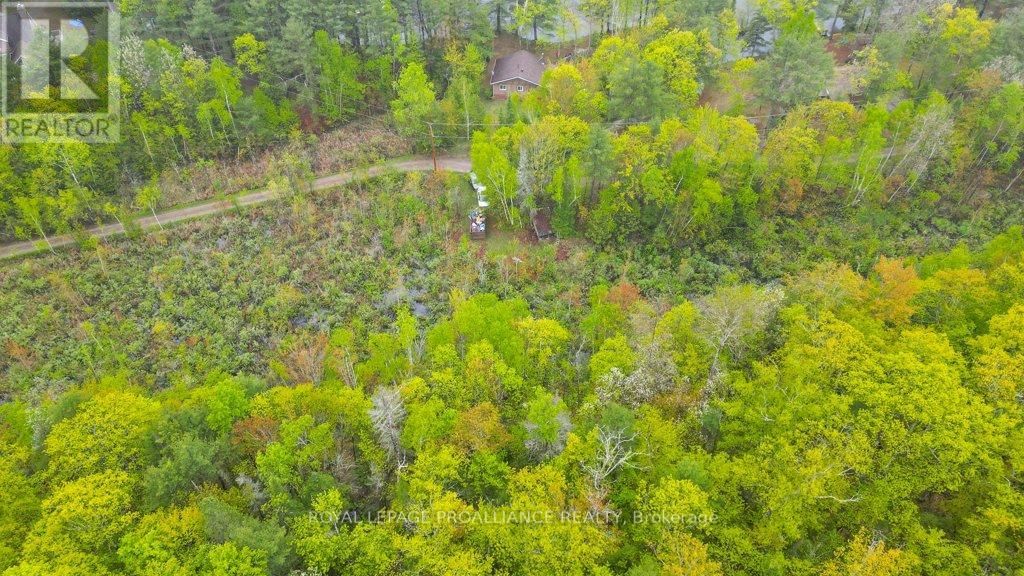 1079 LEMKE LANE Image 38