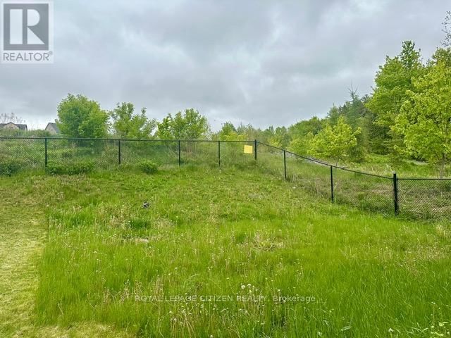 207 HARRIS STREET Image 35