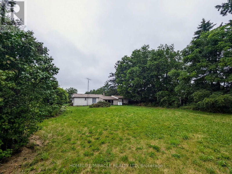 Tertiary Property View