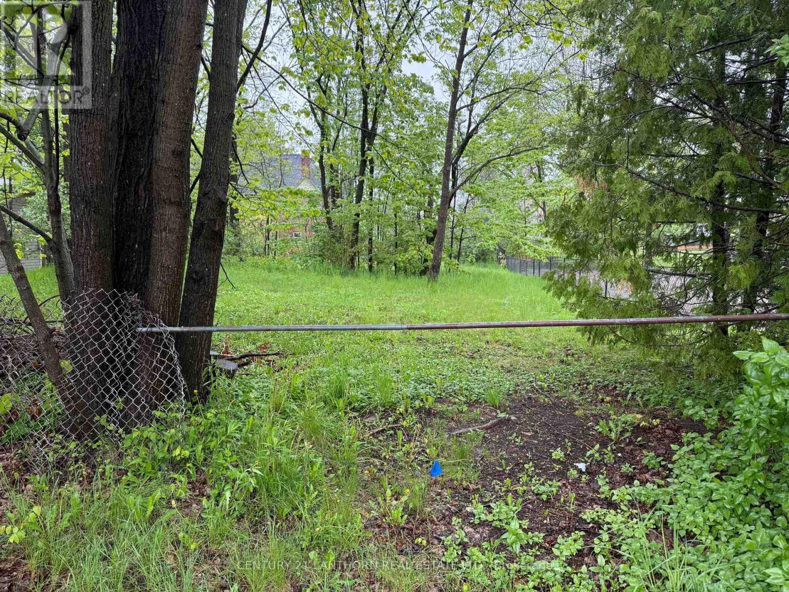 29 ROLLINS STREET Image 2