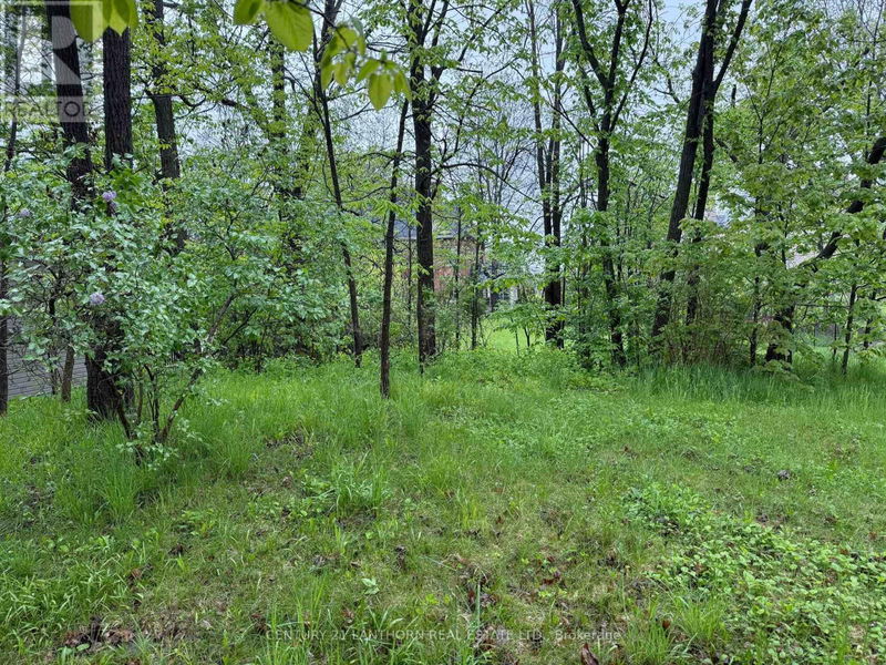 Tertiary Property View