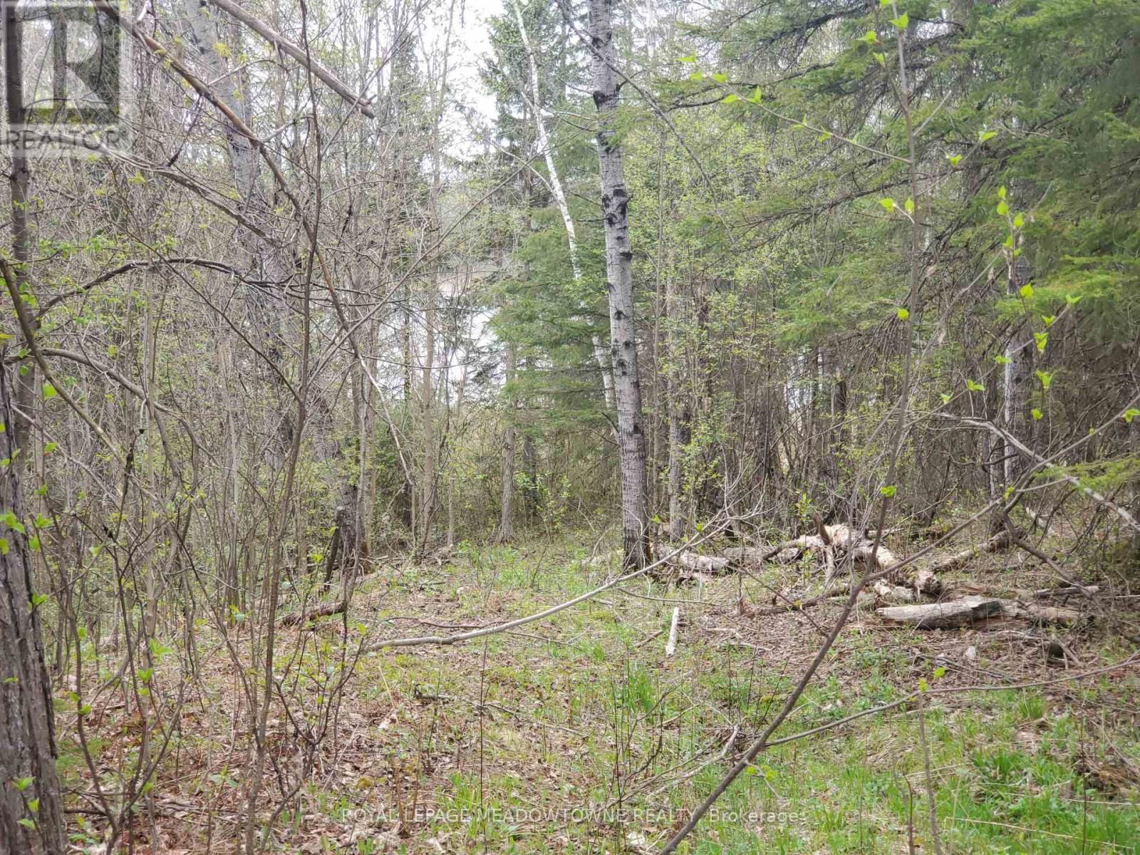 000 CLEAR LAKE ROAD Image 3