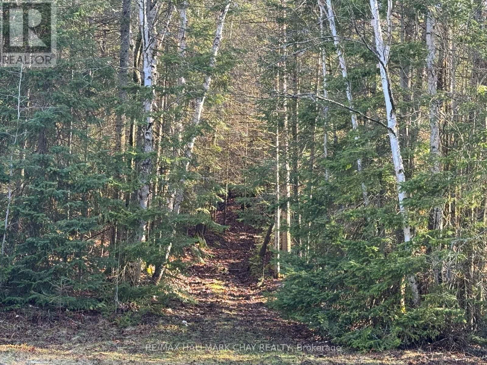 2318 PICKEREL & JACK LAKE ROAD Image 14