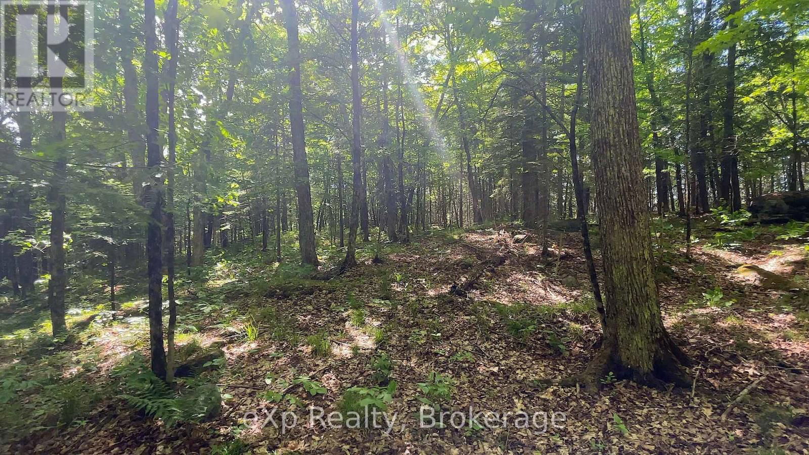 Lot # 4 GONNSEN TRAIL Image 13