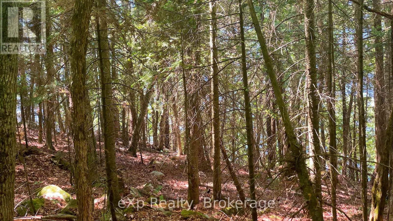 Lot # 4 GONNSEN TRAIL Image 15