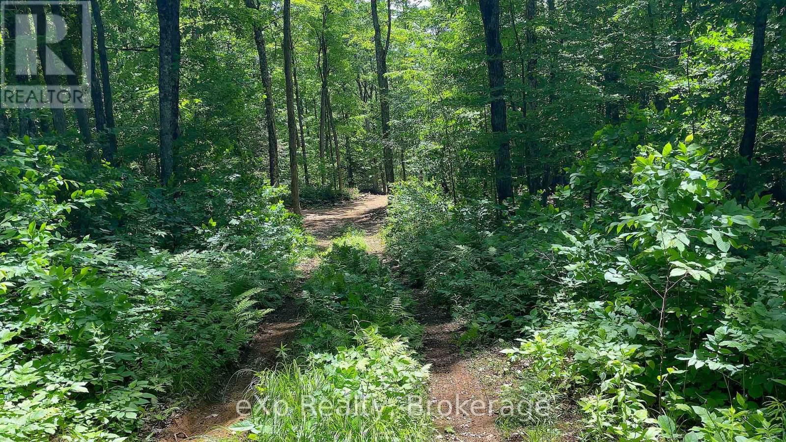 Lot 5 GONNSEN TRAIL Image 11