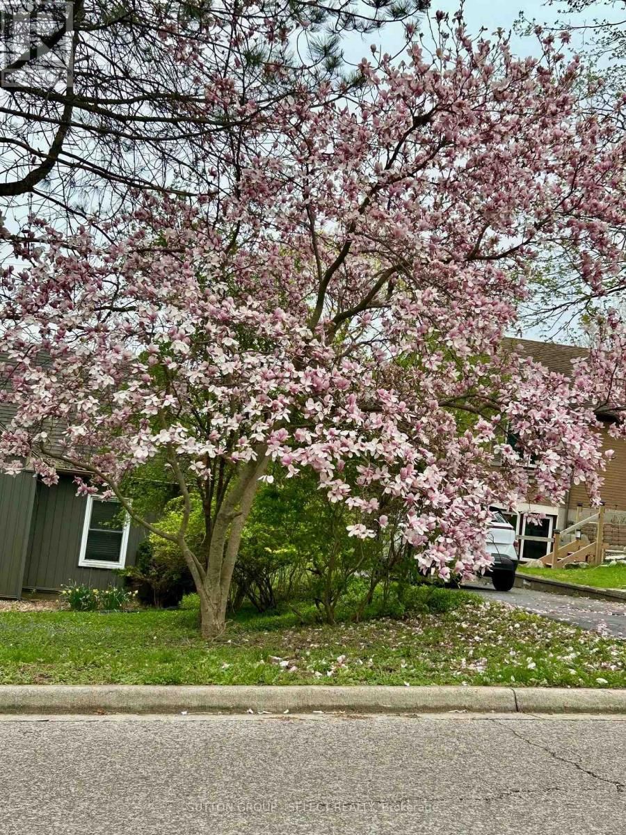 570 KINGSWAY AVENUE Image 47