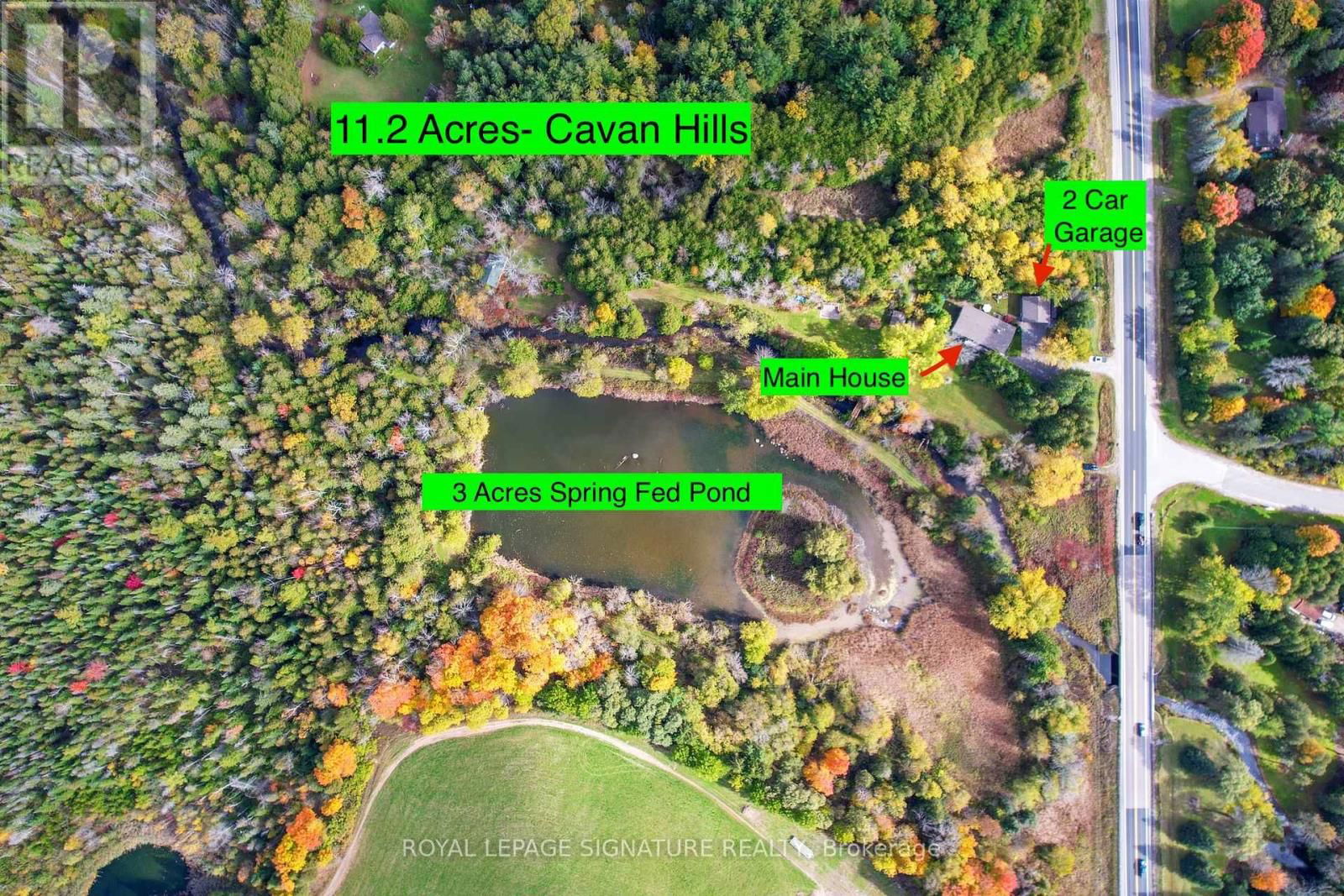 Primary Property View