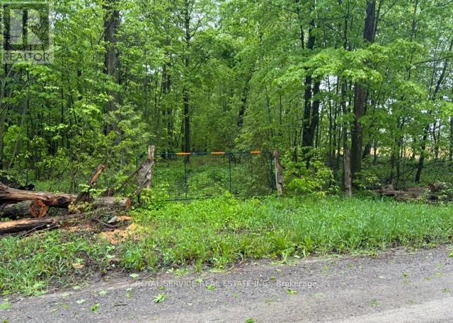 Primary Property View