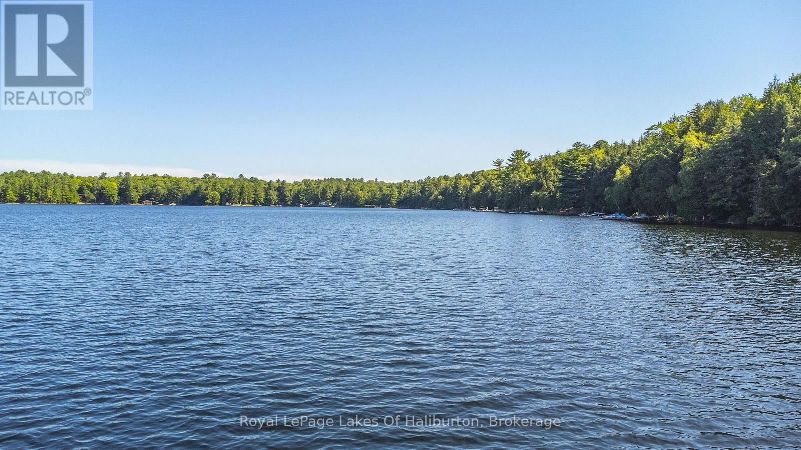1358 KUSHOG LAKE ROAD Image 43