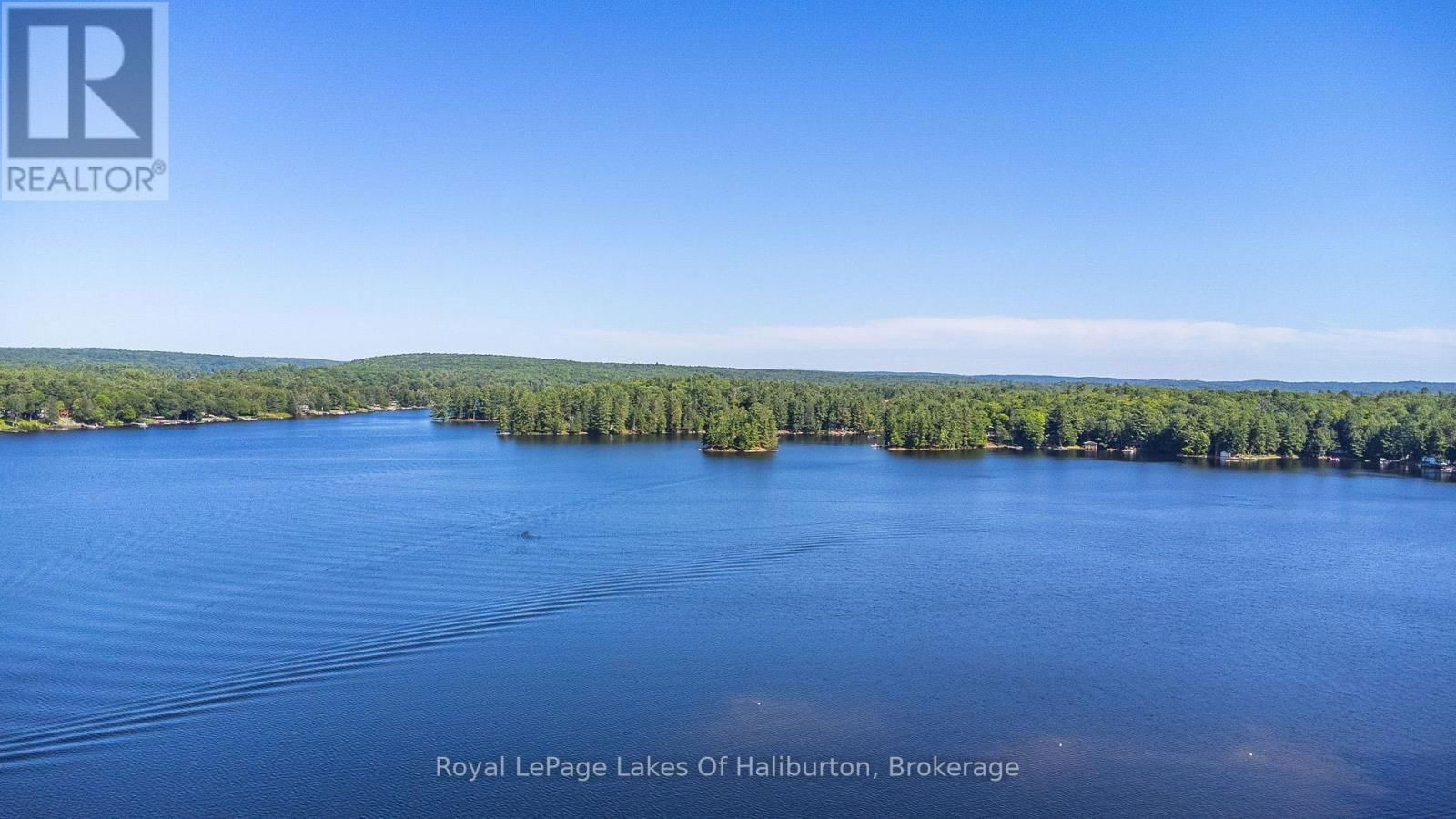 1358 KUSHOG LAKE ROAD Image 45