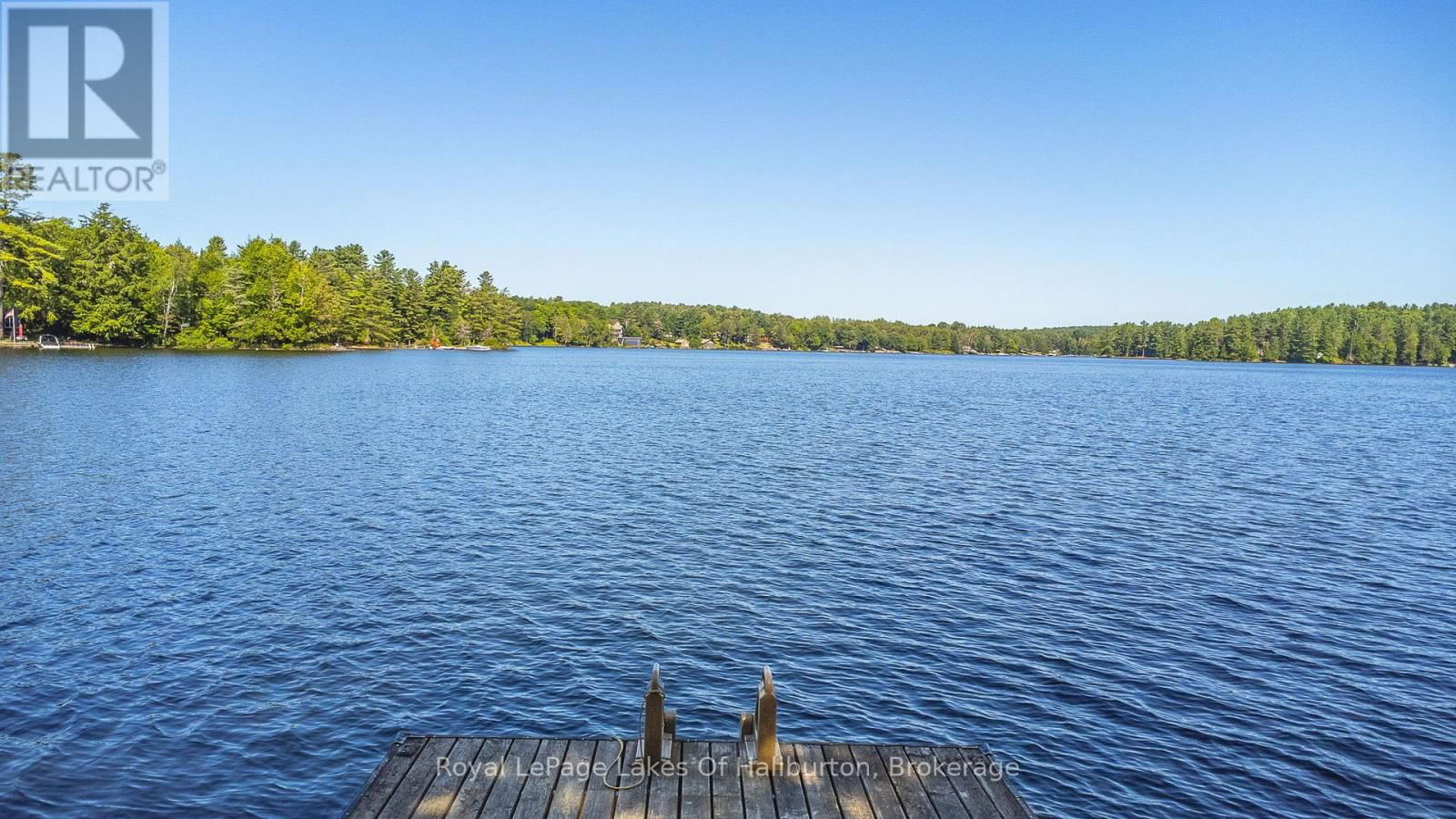 1358 KUSHOG LAKE ROAD Image 7